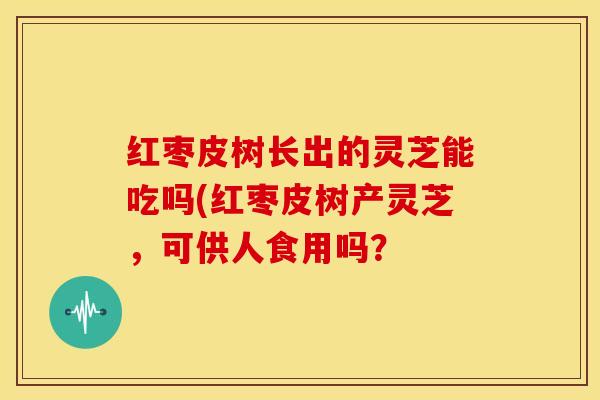 红枣皮树长出的灵芝能吃吗(红枣皮树产灵芝,可供人食用吗?