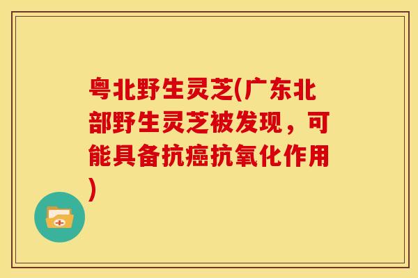 粤北野生灵芝(广东北部野生灵芝被发现,可能具备抗癌抗氧化作用)