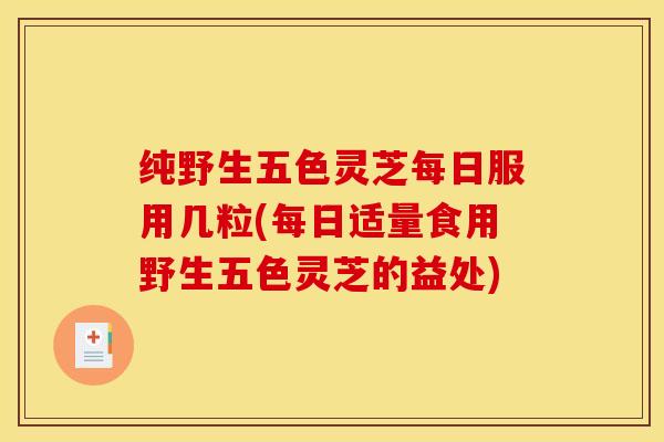 纯野生五色灵芝每日服用几粒(每日适量食用野生五色灵芝的益处)