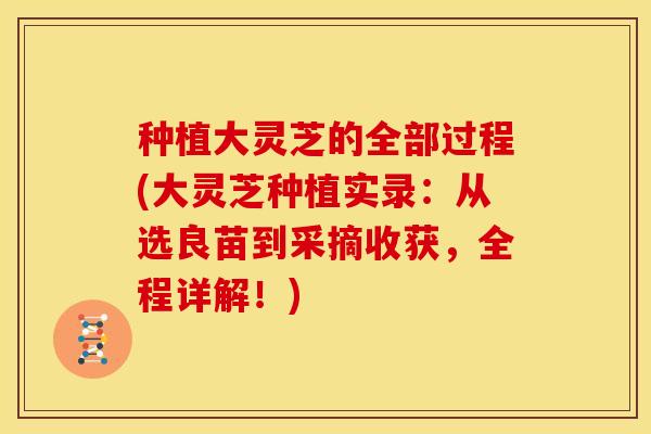 种植大灵芝的全部过程(大灵芝种植实录:从选良苗到采摘收获,全程详解!)