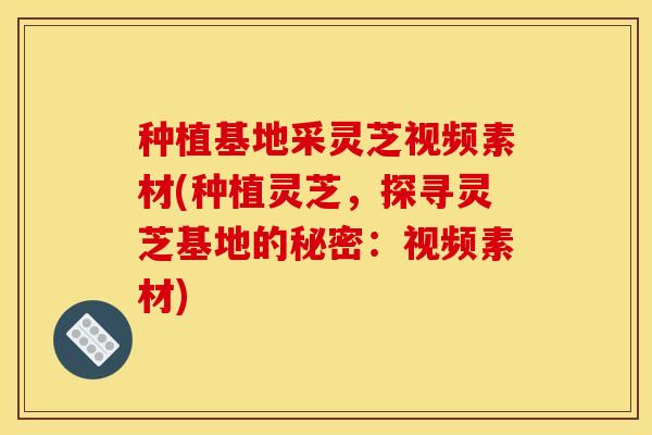种植基地采灵芝视频素材(种植灵芝,探寻灵芝基地的秘密:视频素材)
