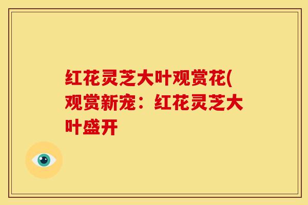 红花灵芝大叶观赏花(观赏新宠:红花灵芝大叶盛开