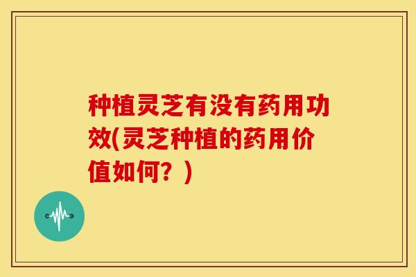种植灵芝有没有药用功效(灵芝种植的药用价值如何?)