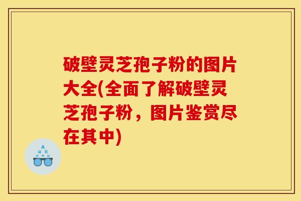 破壁灵芝孢子粉的图片大全(全面了解破壁灵芝孢子粉，图片鉴赏尽在其中)