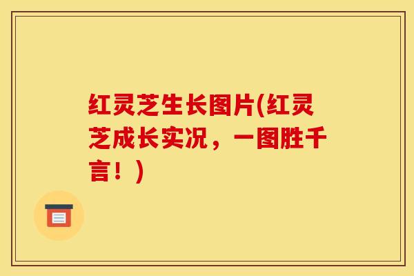 红灵芝生长图片(红灵芝成长实况,一图胜千言!)