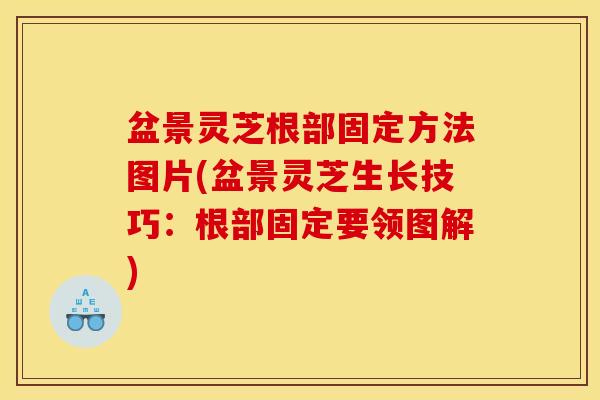 盆景灵芝根部固定方法图片(盆景灵芝生长技巧:根部固定要领图解)