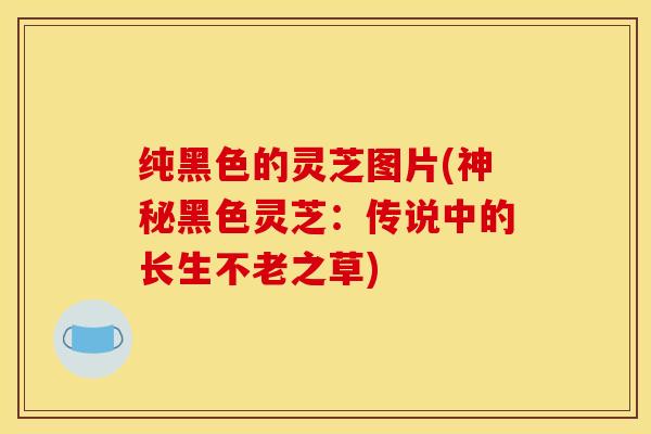 纯黑色的灵芝图片(神秘黑色灵芝：传说中的长生不老之草)