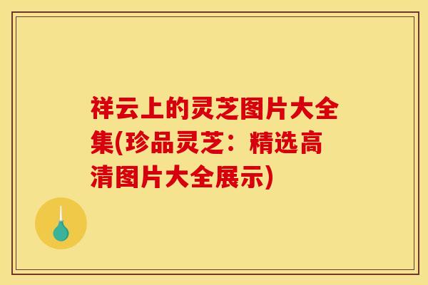 祥云上的灵芝图片大全集(珍品灵芝：精选高清图片大全展示)