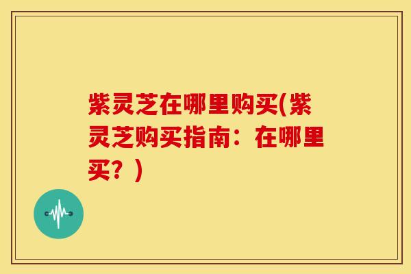 紫灵芝在哪里购买(紫灵芝购买指南:在哪里买?)