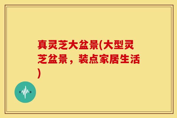 真灵芝大盆景(大型灵芝盆景,装点家居生活)