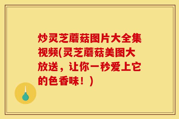 炒灵芝蘑菇图片大全集视频(灵芝蘑菇美图大放送,让你一秒爱上它的色香味!)