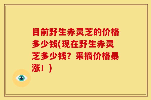 目前野生赤灵芝的价格多少钱(现在野生赤灵芝多少钱?采摘价格暴涨!)