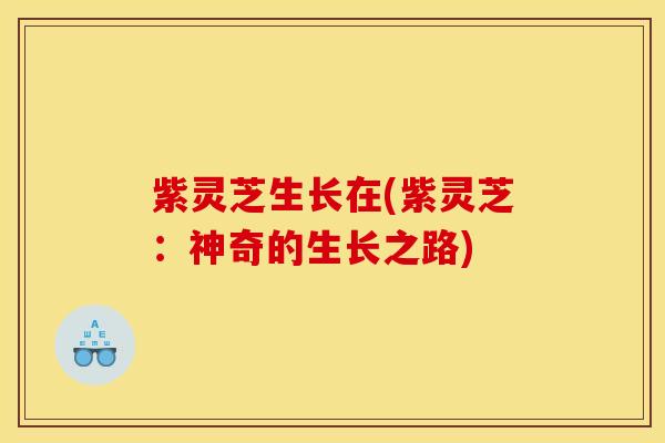 紫灵芝生长在(紫灵芝:神奇的生长之路)
