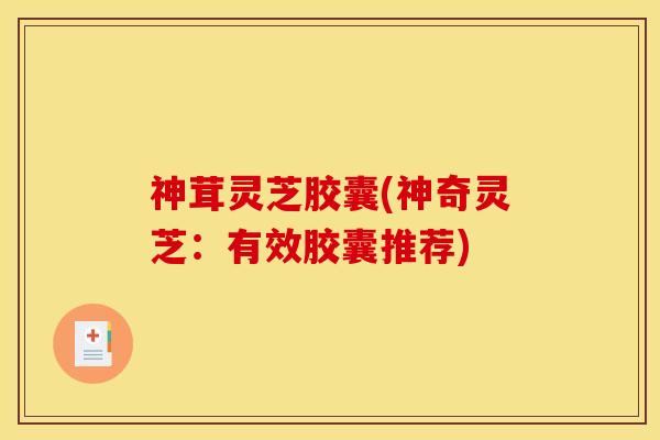 神茸灵芝胶囊(神奇灵芝:有效胶囊推荐)