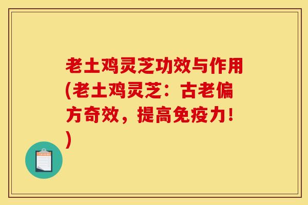 老土鸡灵芝功效与作用(老土鸡灵芝：古老偏方奇效，提高免疫力！)