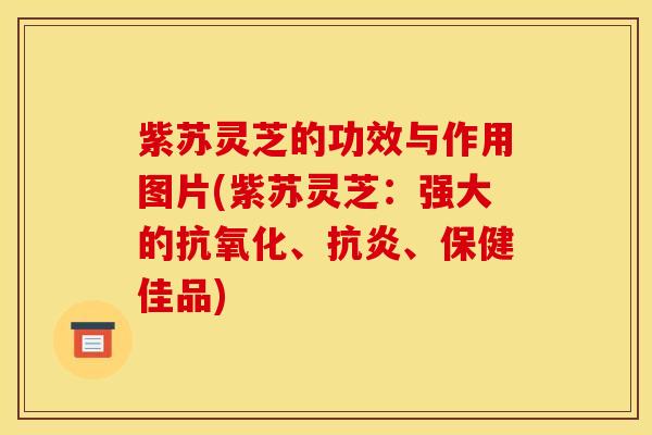 紫苏灵芝的功效与作用图片(紫苏灵芝:强大的抗氧化、抗炎、保健佳品)
