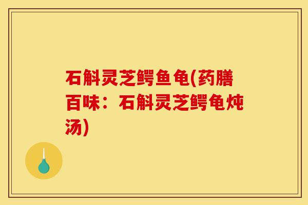 石斛灵芝鳄鱼龟(药膳百味：石斛灵芝鳄龟炖汤)