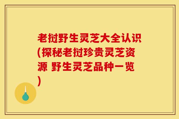 老挝野生灵芝大全认识(探秘老挝珍贵灵芝资源 野生灵芝品种一览)