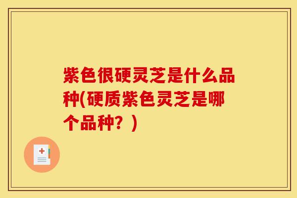 紫色很硬灵芝是什么品种(硬质紫色灵芝是哪个品种?)