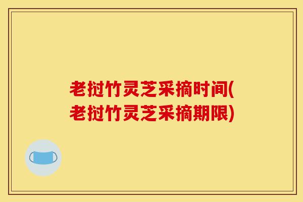 老挝竹灵芝采摘时间(老挝竹灵芝采摘期限)