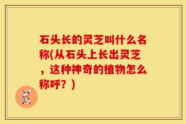 石头长的灵芝叫什么名称(从石头上长出灵芝,这种神奇的植物怎么称呼?)