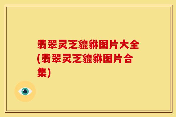翡翠灵芝貔貅图片大全(翡翠灵芝貔貅图片合集)
