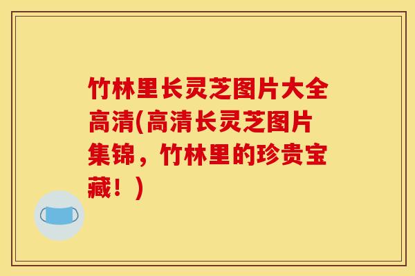 竹林里长灵芝图片大全高清(高清长灵芝图片集锦,竹林里的珍贵宝藏!)