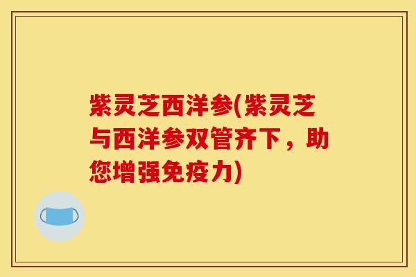 紫灵芝西洋参(紫灵芝与西洋参双管齐下,助您增强免疫力)