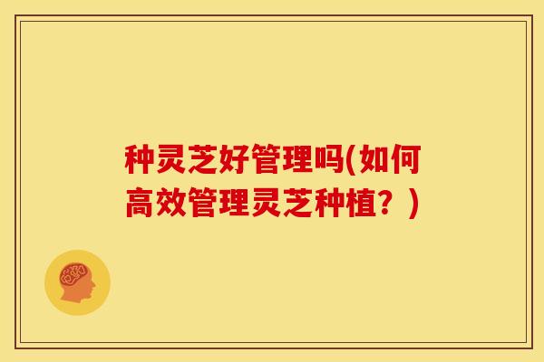 种灵芝好管理吗(如何高效管理灵芝种植？)