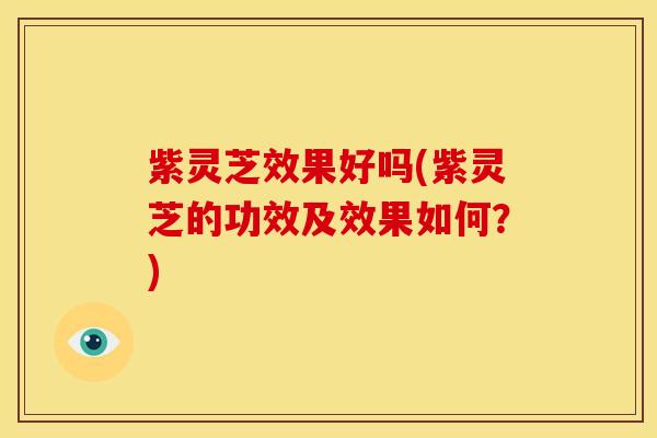 紫灵芝效果好吗(紫灵芝的功效及效果如何?)