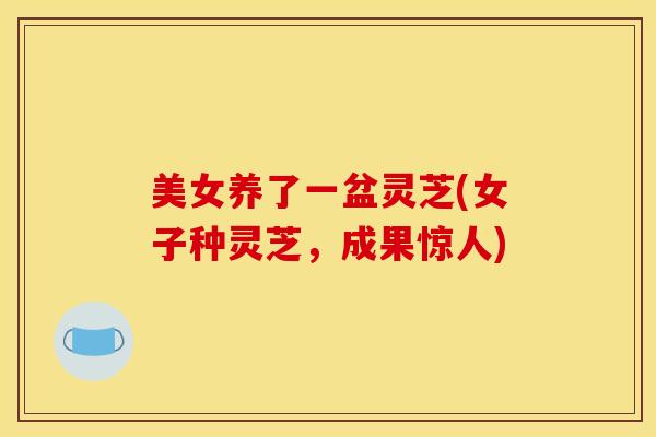 美女养了一盆灵芝(女子种灵芝,成果惊人)