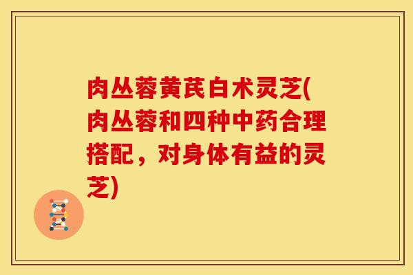 肉丛蓉黄芪白术灵芝(肉丛蓉和四种中药合理搭配,对身体有益的灵芝)