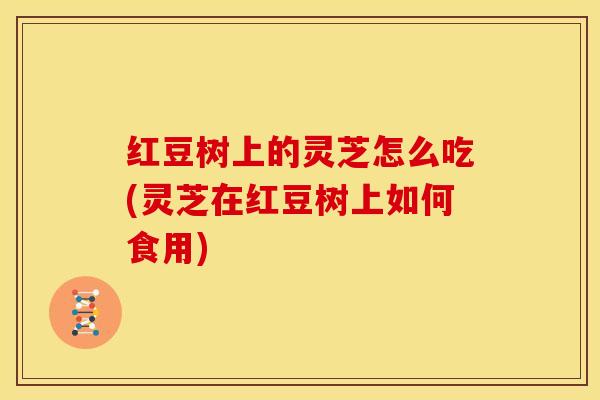 红豆树上的灵芝怎么吃(灵芝在红豆树上如何食用)