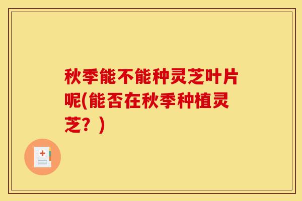 秋季能不能种灵芝叶片呢(能否在秋季种植灵芝?)