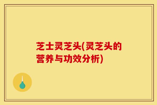 芝士灵芝头(灵芝头的营养与功效分析)