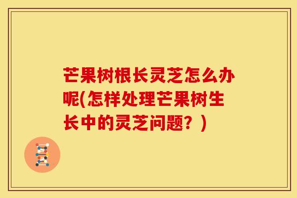 芒果树根长灵芝怎么办呢(怎样处理芒果树生长中的灵芝问题?)