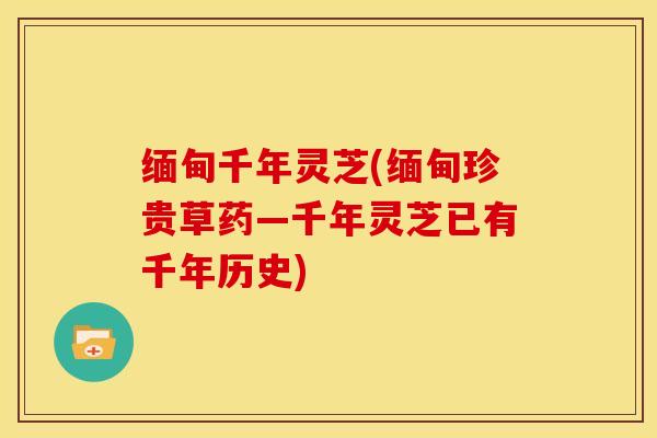 缅甸千年灵芝(缅甸珍贵草药—千年灵芝已有千年历史)