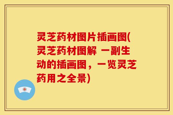 灵芝药材图片插画图(灵芝药材图解 一副生动的插画图，一览灵芝药用之全景)