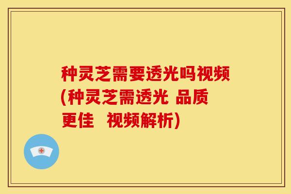 种灵芝需要透光吗视频(种灵芝需透光 品质更佳 视频解析)