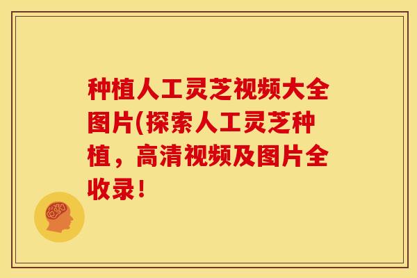 种植人工灵芝视频大全图片(探索人工灵芝种植,高清视频及图片全收录!