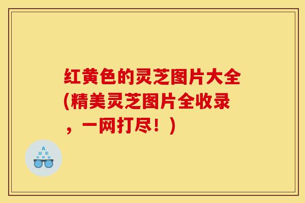 红黄色的灵芝图片大全(精美灵芝图片全收录,一网打尽!)