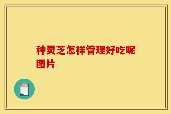 种灵芝怎样管理好吃呢图片