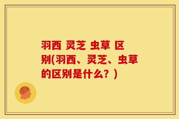 羽西 灵芝 虫草 区别(羽西、灵芝、虫草的区别是什么？)