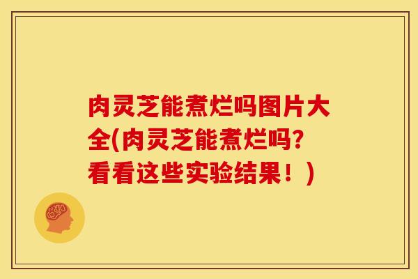 肉灵芝能煮烂吗图片大全(肉灵芝能煮烂吗?看看这些实验结果!)