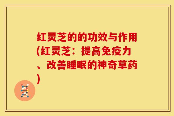 红灵芝的的功效与作用(红灵芝：提高免疫力、改善睡眠的神奇草药)