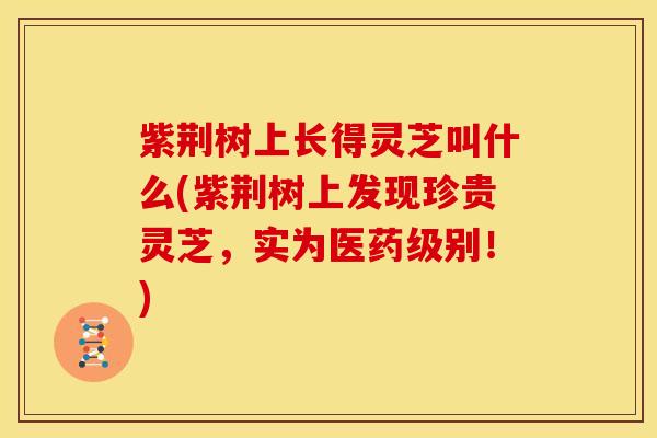 紫荆树上长得灵芝叫什么(紫荆树上发现珍贵灵芝，实为医药级别！)