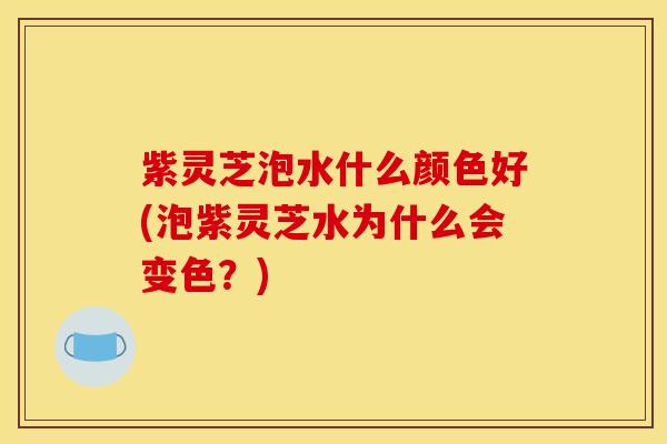 紫灵芝泡水什么颜色好(泡紫灵芝水为什么会变色?)