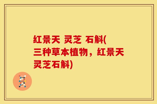 红景天 灵芝 石斛(三种草本植物,红景天灵芝石斛)
