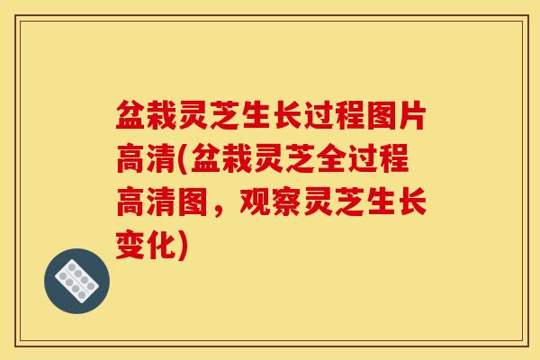 盆栽灵芝生长过程图片高清(盆栽灵芝全过程高清图,观察灵芝生长变化)