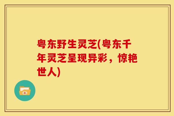 粤东野生灵芝(粤东千年灵芝呈现异彩,惊艳世人)